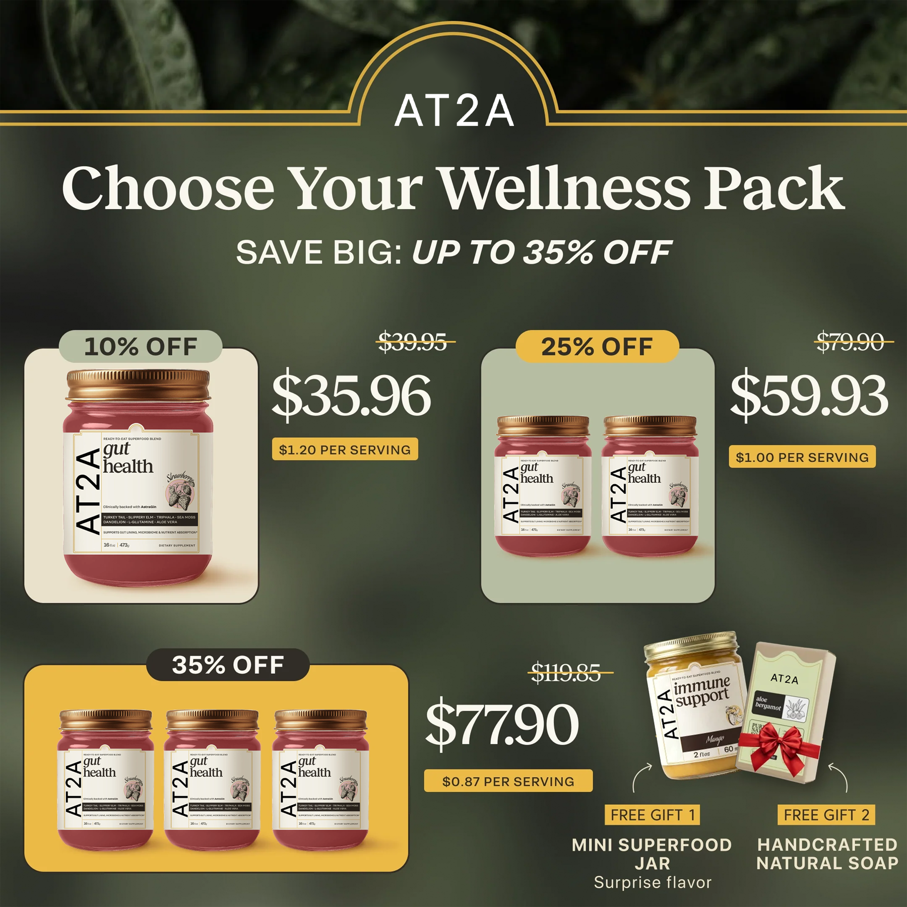 AT2A Daily Gut Support — Clinically Proven with AstraGin