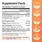 AT2A Turmeric Curcumin 95